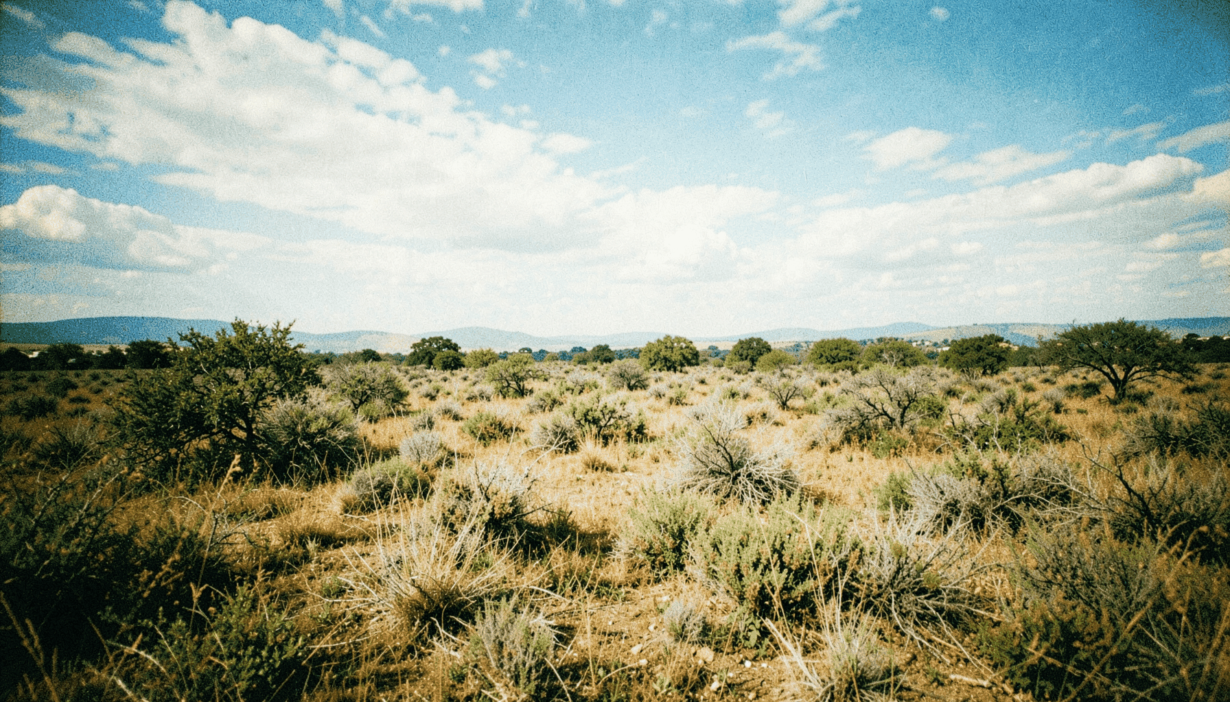 Panorámica de la dehesa extremeña con cielo amplio y nubes suaves, tonos verdes, dorados y azules pálidos, fotografía analógica con grano