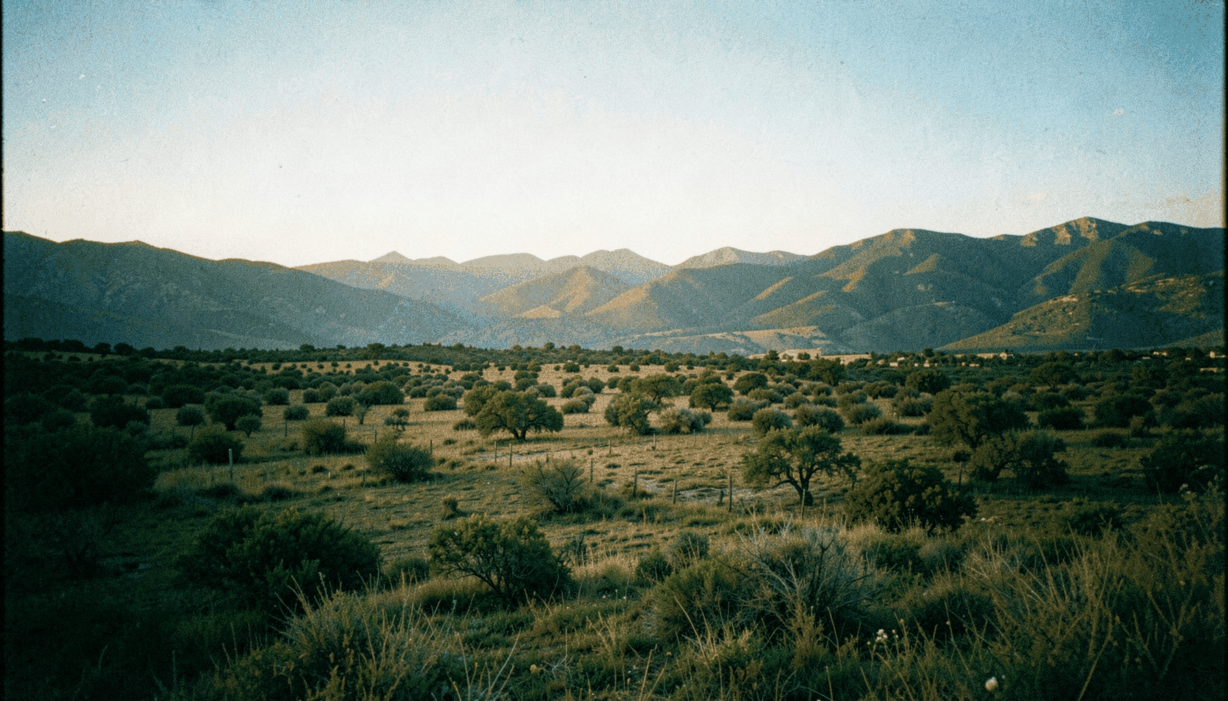 Paisaje natural de Extremadura con dehesa y montañas al atardecer, tonos verdes y dorados, luz cálida, fotografía analógica con grano visible